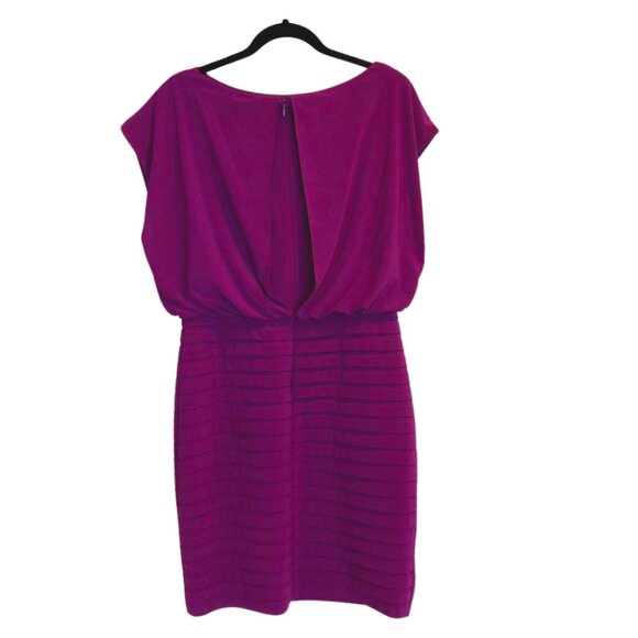 Adrianna Papell Purple Blouson Sleeveless Dress - Picture 14 of 14